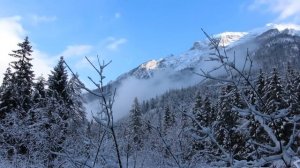 26 февраля - Самый опасный день. Положите этот предмет на подоконник | Лунный Календарь