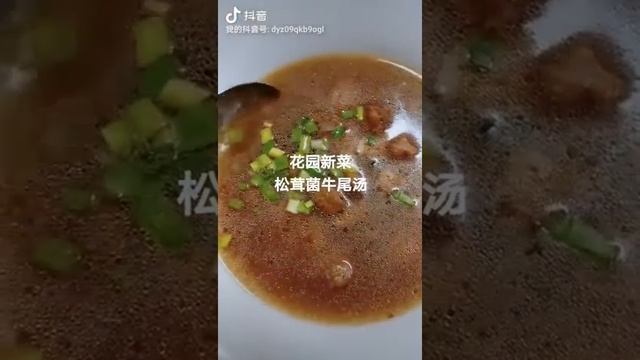 华沙 上海花园 牛尾汤 Oxtail soup смотреть онлайн