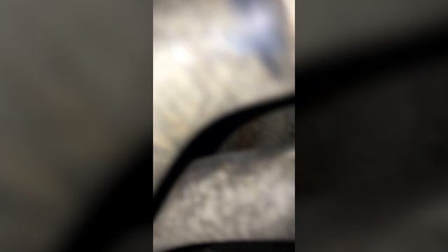 Номер двигателя Рено дастер 2 литра смотреть онлайн