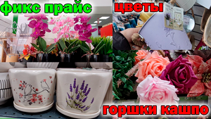 Вот это да.ФИКС ПРАЙС.Горшки и кашпо и Море искусственных цветов