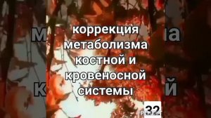 ?Матрица Гаряева (3 часть.) Регенерация костей,мышц и сосудов .