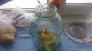 С этим удобрением будет много урожая. Удобрение из кожуры картофеля.