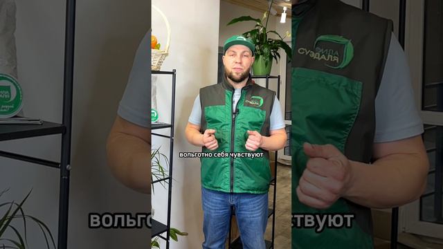 #Shorts Секреты мульчирования грядок #мульча #мульчирование #сад #огород