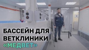 Оборудование бассейна в ветклинике "Медвет".