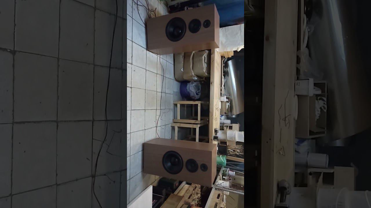Акустические системы 150ас-108 Ижора. Внешний вид, терминалы. Тест.