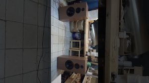 Акустические системы 150ас-108 Ижора. Внешний вид, терминалы. Тест.