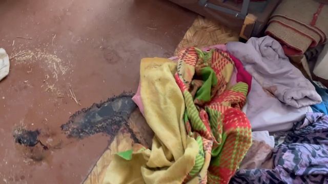 Удалить запах озонатором после трупа смотреть онлайн