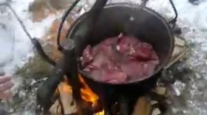 приготовление волчатины