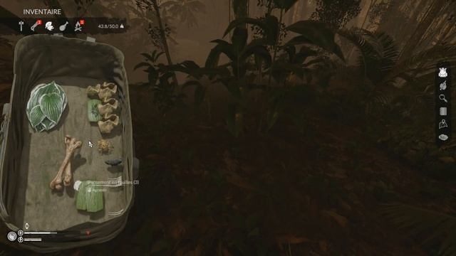 UN COMBAT À MORT ! (Green Hell #3) смотреть онлайн