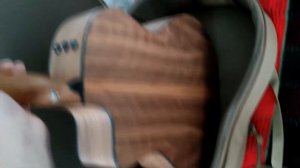 Taylor 114ce | Распаковка / Обзор / Тест |