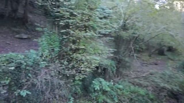 Rupit y Pruït смотреть онлайн