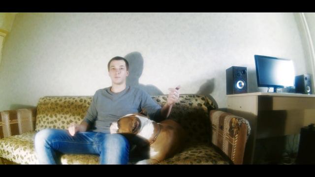 Почему я плохо отношусь к заводчикам АСТ смотреть онлайн