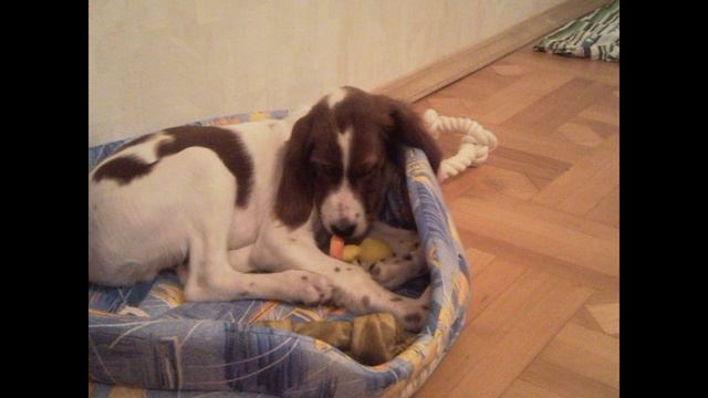 Фото РЭМ смотреть онлайн