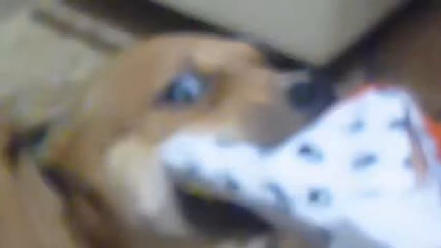 Новые новости о смайлике! смотреть онлайн