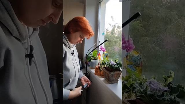 Обзор фито лампы с Озона. #фитолампа #лампадляцветов #подсветка #рассадаклубники #фитолампы