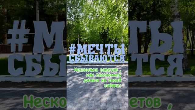 Как сэкономить?