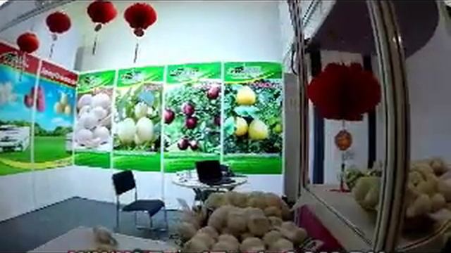 Fruit Logistica 2014 смотреть онлайн