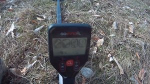 ? Тест+Коп с металлоискателем Go-Find 20. Часть1.