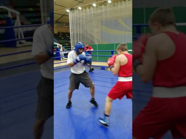 спарринг #бокс #shorts