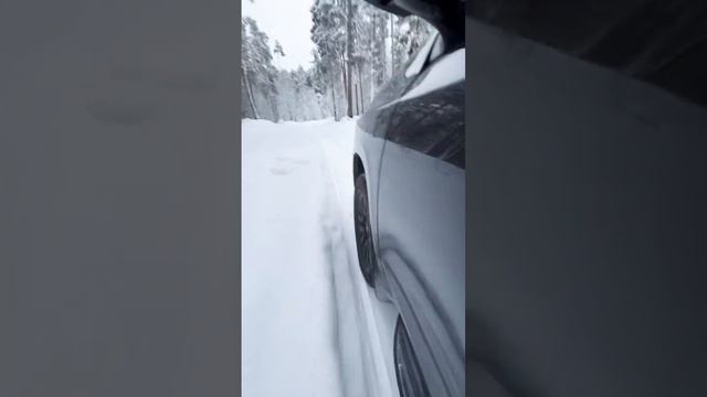 | Land cruiser Prado |Зима, лес , река 😏