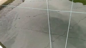 выращивание радужной форели