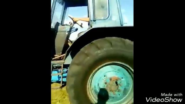 Камаловы (Кармаскалинский район, д.Савалеево)
