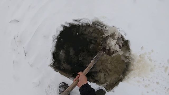 МОРДЫ ПОЛНЫЕ ЭТИМИ ГАДАМИ.РОТАНЫ-ГИГАНТЫ!!! ПОДАРИЛ КАРАСЯМ ЖИЗНЬ. ПОСТАВИЛ ЕЩЁ ОДНУ ВЕРШУ...