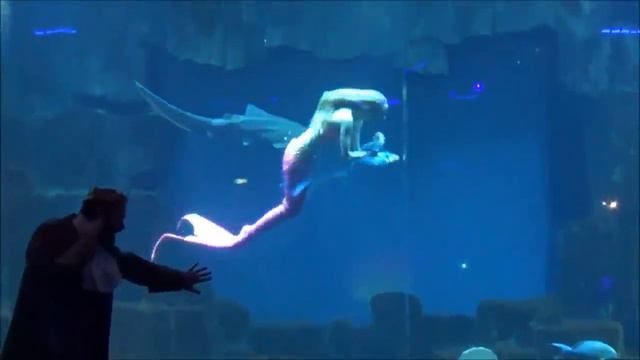 France/Сгоревший Нотр Дам/Проход закрыт/Невероятно красивая девушка/Я в восторге! смотреть онлайн