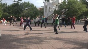 8 КУСКОВ ПАРЧИ