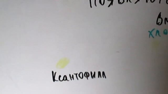 ПОЧЕМУ ЛИСТЬЯ ЖЕЛТЕЮТ? смотреть онлайн