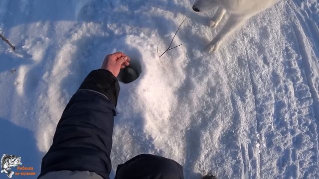 Поймал трофейную рыбу/Чайхана на льду/Зимняя рыбалка