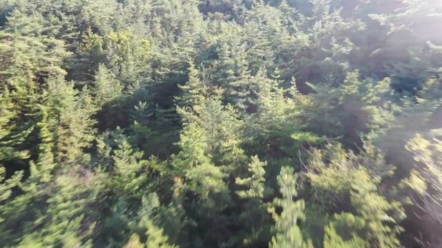 20 Стран, которые уже открывают границы для международного туризма