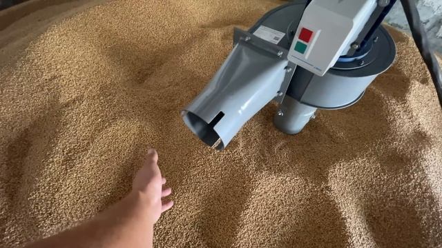 Волога пшениці 20%.ЖОПА❗️БАНКРУТ❗️ смотреть онлайн