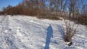 такса на зайца