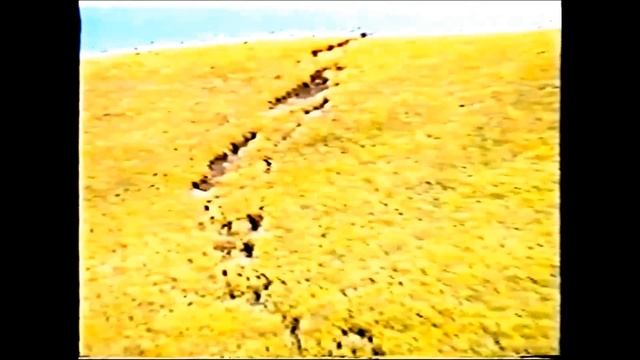 о Шикотан землетрясение смотреть онлайн