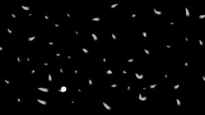 Авессалом Подводный 1953 - 2018. В память о Великом Учителе.