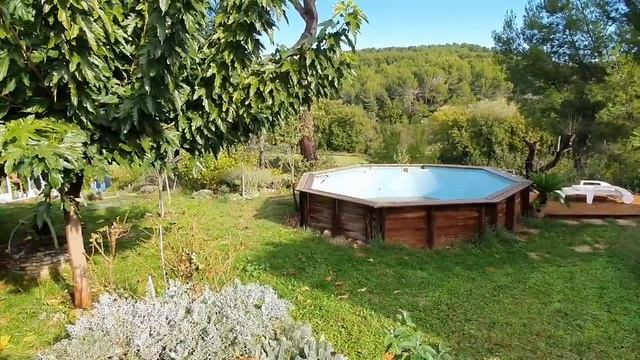 Франция. ВЛОГ вокруг дома. После Дождя.Розы и Лаванда Цветут! КРАСОТА! смотреть онлайн