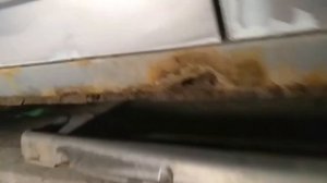 Почему гниют российские авто?