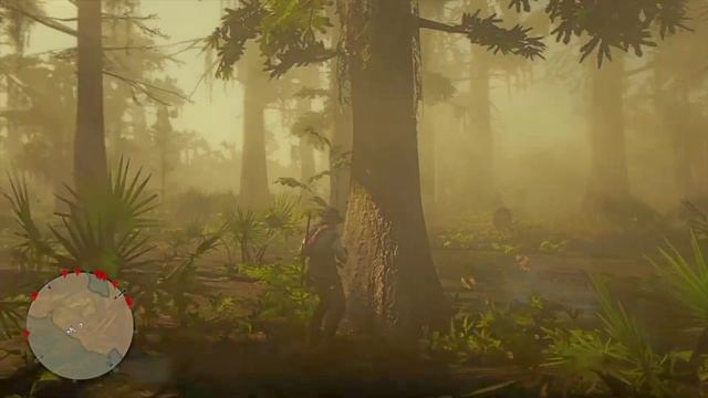 5 Night Scented Orchid, 5 Spider, 10 Rat Tail LOCATIONS GUIDE RED DEAD REDEMPTION 2 смотреть онлайн