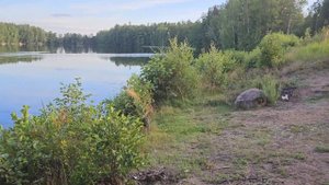 Озеро зелёное, 1 августа 23 года, 7 вечера