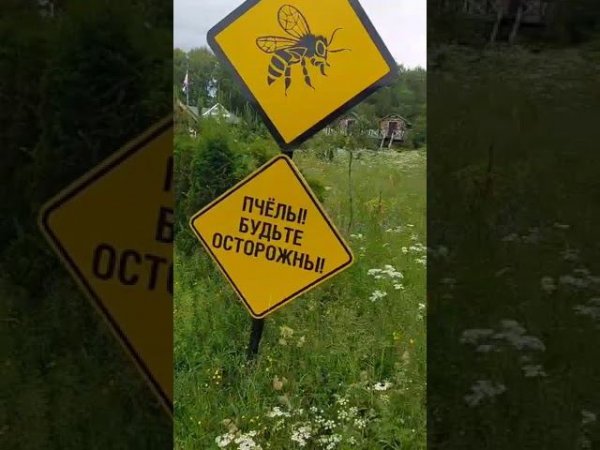 Атмосферное видео из деревни Федора Конюхова!