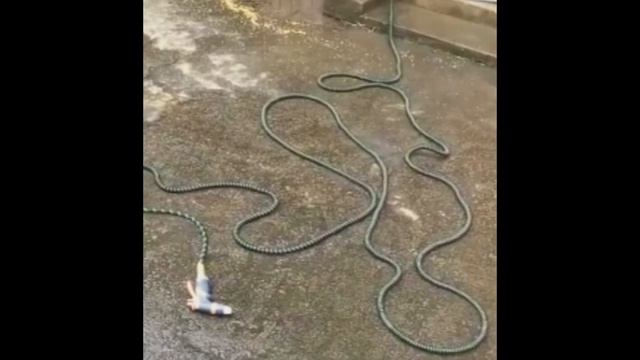 Расширяемый садовый шланг гибкий,для полива,мытья автомобиля. смотреть онлайн