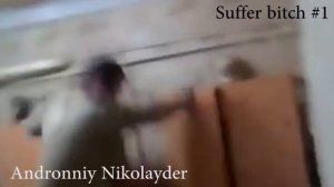 Suffer BITCH Compilation #1 FAIL VIDEO