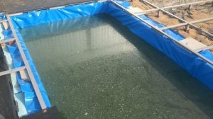 Бассейн своими руками / swimming pool / 游泳池