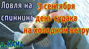 РЫБАЛКА на СПИННИНГ. Ловля СУДАКА на ДЖИГ. Наступила ОСЕНЬ.