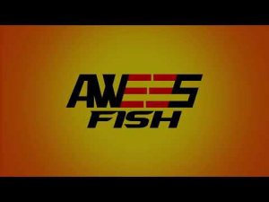 Обзор на фидерное удилище Awees metod black