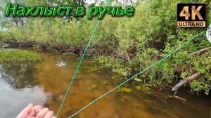 Нахлыст в ручье.