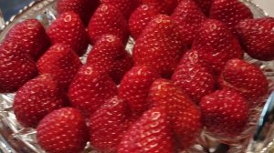 Спонтанный Стрим