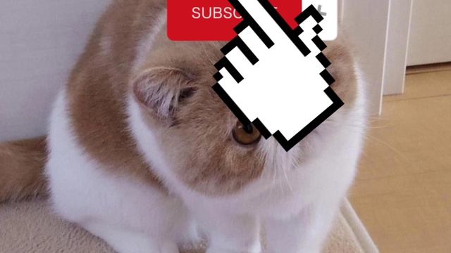 зайди пж пж пж