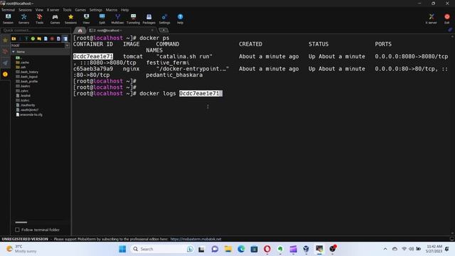 Managing Containers with Docker  CLI